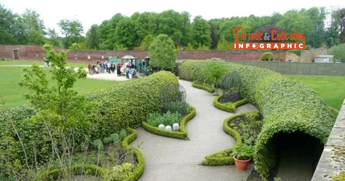 View - [INFOGRAPHIC] Khu vườn độc dược lớn nhất thế giới | Báo Tri thức và Cuộc sống - TIN TỨC PHỔ BIẾN KIẾN THỨC 24H