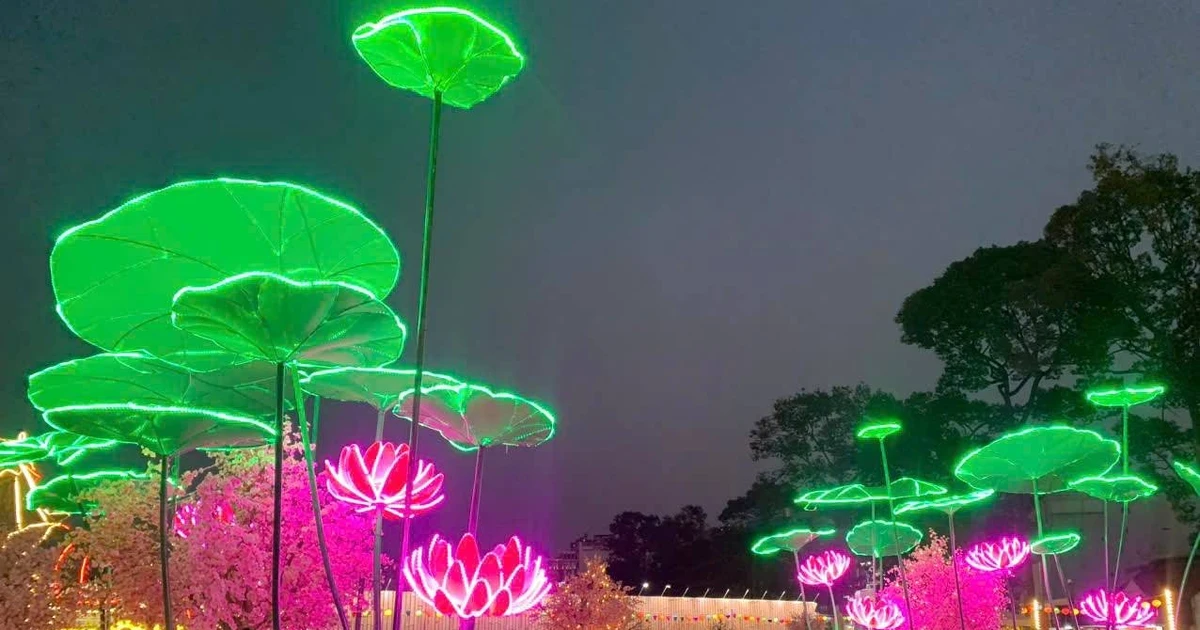 View - 'Đất vàng' bị bỏ hoang trở thành vườn xuân rực rỡ ở TP HCM | Báo Tri thức và Cuộc sống - TIN TỨC PHỔ BIẾN KIẾN THỨC 24H