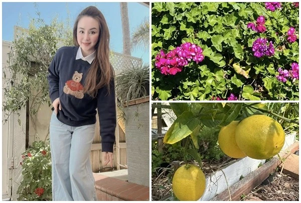 Gallery - Cận cảnh cơ ngơi rực rỡ sắc hoa tại Mỹ của Vy Oanh | Báo Tri thức và Cuộc sống - TIN TỨC PHỔ BIẾN KIẾN THỨC 24H