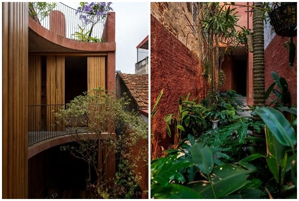 Gallery - Nhà trong ngõ như hệ sinh thái thu nhỏ giữa Hà Nội | Báo Tri thức và Cuộc sống - TIN TỨC PHỔ BIẾN KIẾN THỨC 24H