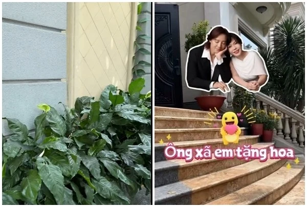 View - Khoảng xanh đắt giá trong biệt thự 300 tỷ của vợ chồng Việt Hương | Báo Tri thức và Cuộc sống - TIN TỨC PHỔ BIẾN KIẾN THỨC 24H