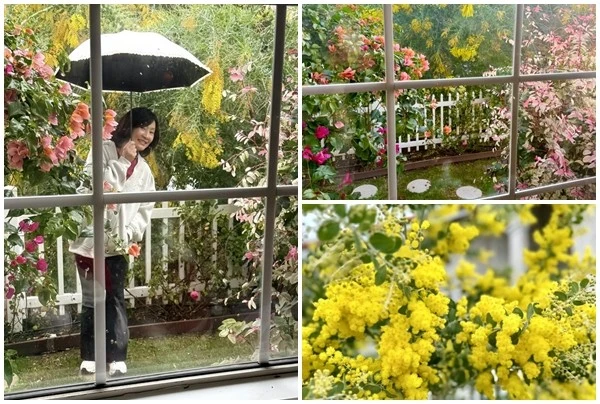 View - Cận cảnh căn nhà đẹp như tranh vẽ của nghệ sĩ Hồng Đào | Báo Tri thức và Cuộc sống - TIN TỨC PHỔ BIẾN KIẾN THỨC 24H