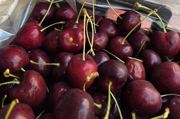 View - Vì sao cherry Chile 'được lòng' người tiêu dùng Việt Nam thời gian qua? | Báo Tri thức và Cuộc sống - TIN TỨC PHỔ BIẾN KIẾN THỨC 24H