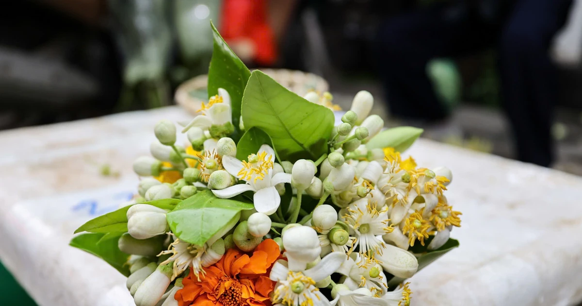 Gallery - Hoa bưởi đầu mùa giá triệu đồng/kg vẫn đắt khách | Báo Tri thức và Cuộc sống - TIN TỨC PHỔ BIẾN KIẾN THỨC 24H