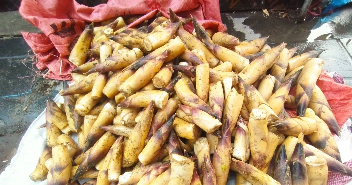 Gallery - Măng vầu Tây Bắc đầu mùa giá cao vẫn 'cháy hàng' | Báo Tri thức và Cuộc sống - TIN TỨC PHỔ BIẾN KIẾN THỨC 24H