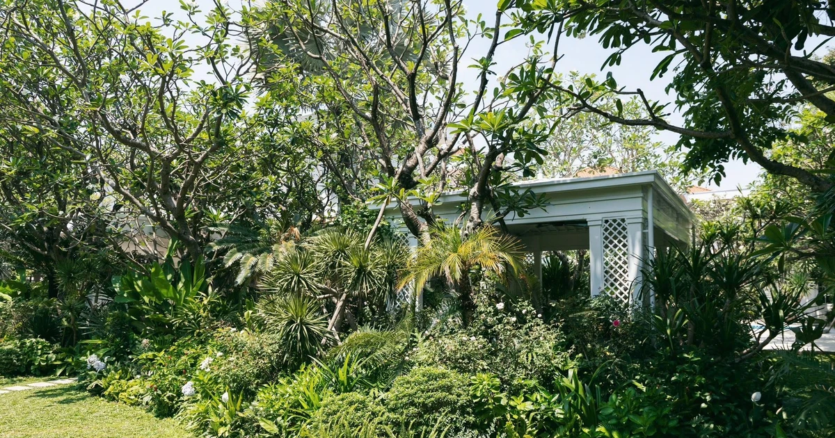 Gallery - Cận cảnh ngôi nhà giữa rừng cây của 'ông bố đông con nhất showbiz Việt' | Báo Tri thức và Cuộc sống - TIN TỨC PHỔ BIẾN KIẾN THỨC 24H