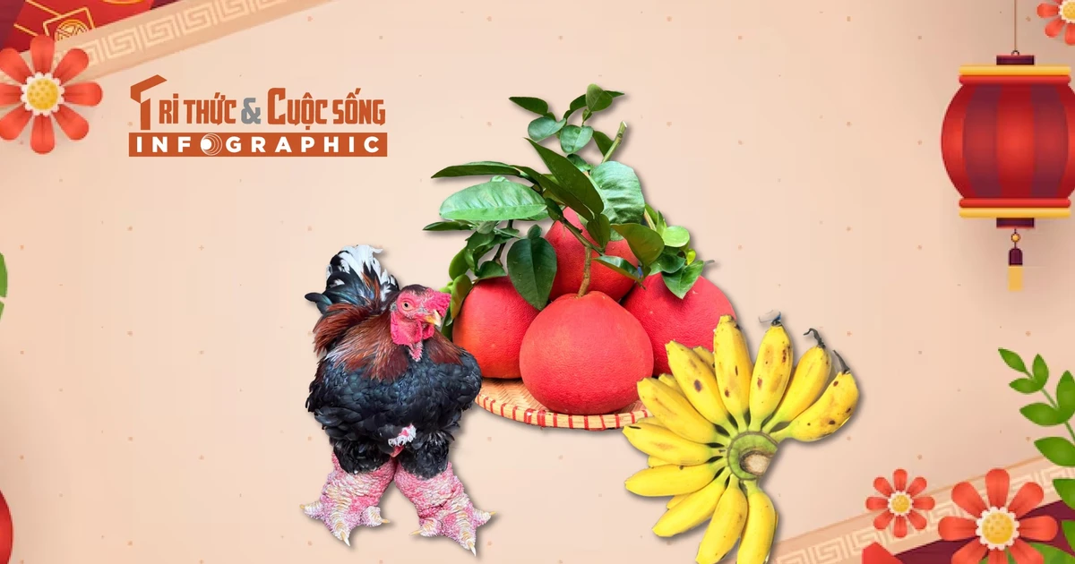 View - [INFOGRAPHIC] Những đặc sản tiến vua hút khách dịp Tết | Báo Tri thức và Cuộc sống - TIN TỨC PHỔ BIẾN KIẾN THỨC 24H