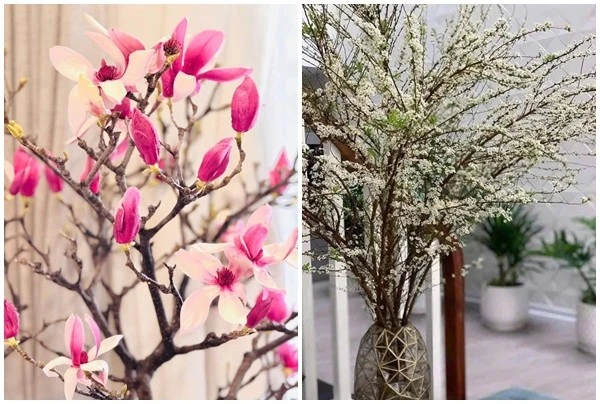 View - Hai loại hoa 'như cành củi' hút khách dịp Tết Bính Ngọ 2026 | Báo Tri thức và Cuộc sống - TIN TỨC PHỔ BIẾN KIẾN THỨC 24H