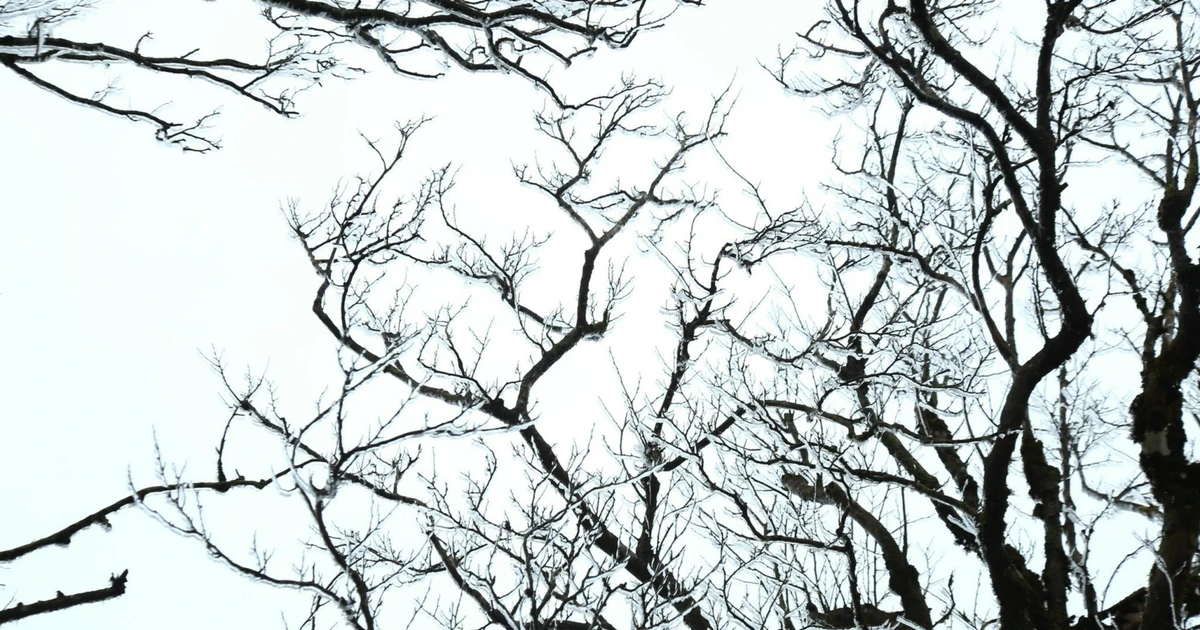 View - Lên Phia Oắc săn băng giá, trải nghiệm mùa đông đặc biệt của Cao Bằng | Báo Tri thức và Cuộc sống - TIN TỨC PHỔ BIẾN KIẾN THỨC 24H