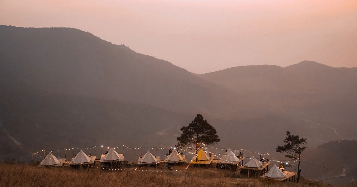 View - Cắm trại trên đỉnh Phượng Hoàng, ngắm mùa cỏ cháy rực rỡ ở Quảng Ninh | Báo Tri thức và Cuộc sống - TIN TỨC PHỔ BIẾN KIẾN THỨC 24H