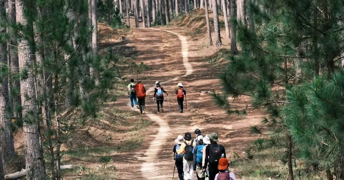 View - Băng rừng, vượt suối khám phá Bidoup hoang sơ của Lâm Đồng | Báo Tri thức và Cuộc sống - TIN TỨC PHỔ BIẾN KIẾN THỨC 24H