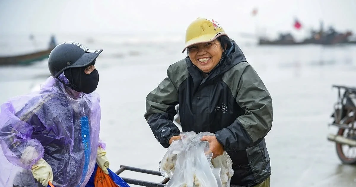 View - Loài hải sản nổi đầy mặt biển giúp ngư dân Thanh Hóa kiếm tiền triệu mỗi ngày | Báo Tri thức và Cuộc sống - TIN TỨC PHỔ BIẾN KIẾN THỨC 24H