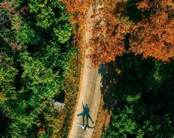 View - Rừng phong hương trước chùa cổ Hải Phòng hút khách dịp cuối năm | Báo Tri thức và Cuộc sống - TIN TỨC PHỔ BIẾN KIẾN THỨC 24H
