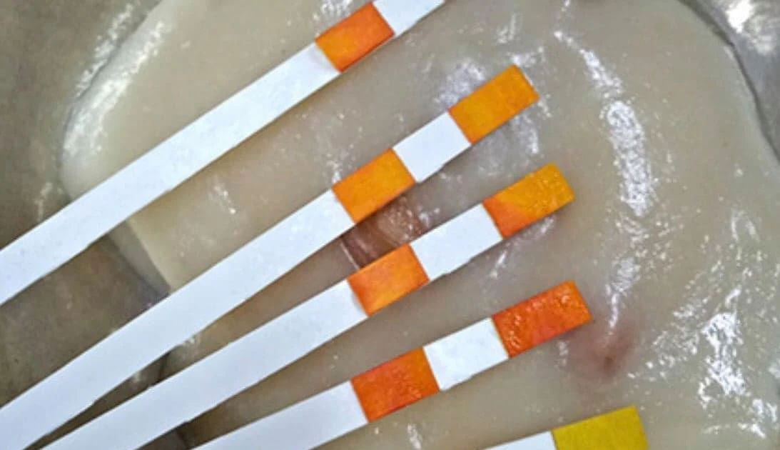 View - Những thực phẩm dễ bị trộn hàn the, người tiêu dùng không nên chủ quan | Báo Tri thức và Cuộc sống - TIN TỨC PHỔ BIẾN KIẾN THỨC 24H