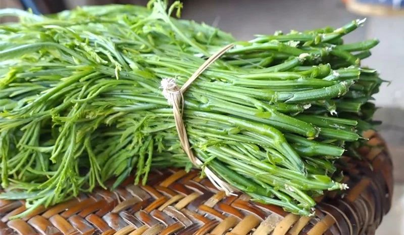 View - 4 loại rau đặc sản theo mùa ở Việt Nam, có loại tới triệu đồng/kg | Báo Tri thức và Cuộc sống - TIN TỨC PHỔ BIẾN KIẾN THỨC 24H