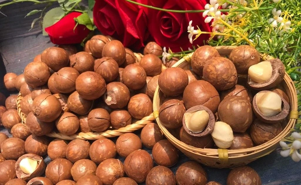 View - Loại hạt được ví như 'vàng mềm' giàu chất béo, giúp khỏe từ trong ra ngoài | Báo Tri thức và Cuộc sống - TIN TỨC PHỔ BIẾN KIẾN THỨC 24H