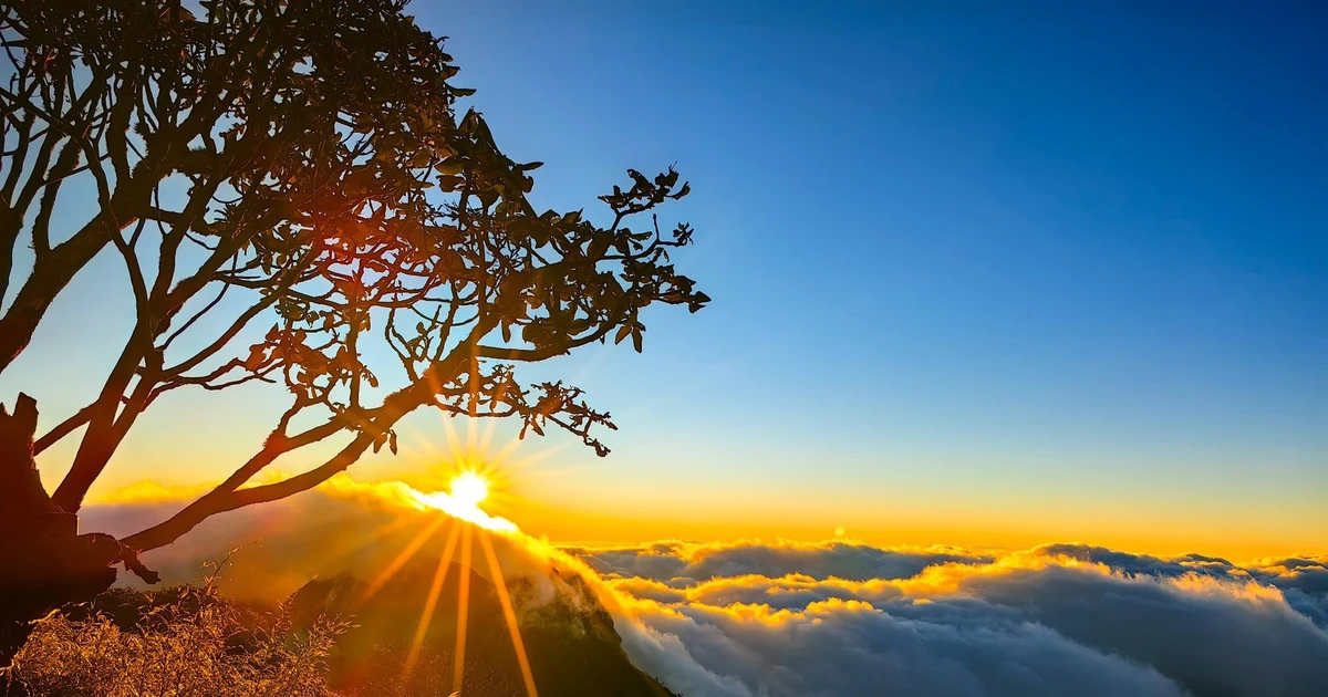 View - Chinh phục Nhìu Cồ San ngắm hoàng hôn giữa biển mây, chọn tour nào đáng tiền? | Báo Tri thức và Cuộc sống - TIN TỨC PHỔ BIẾN KIẾN THỨC 24H