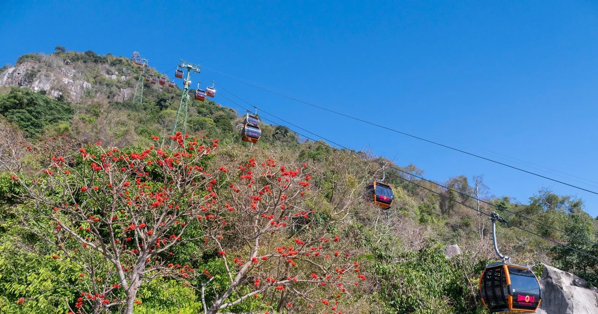 Gallery - Núi Bà Đen vào mùa hoa vông nem, tour tham quan chỉ từ 700.000 đồng | Báo Tri thức và Cuộc sống - TIN TỨC PHỔ BIẾN KIẾN THỨC 24H