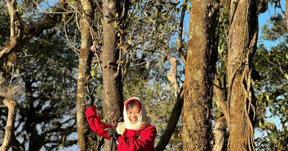 View - U70 chinh phục liên tiếp hai đỉnh núi trong hai tháng khiến người trẻ nể phục | Báo Tri thức và Cuộc sống - TIN TỨC PHỔ BIẾN KIẾN THỨC 24H