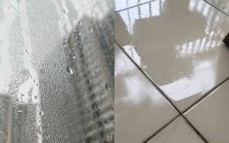 View - Mẹo nhỏ giúp nhà khô ráo, sạch mùi trong mùa nồm ẩm | Báo Tri thức và Cuộc sống - TIN TỨC PHỔ BIẾN KIẾN THỨC 24H