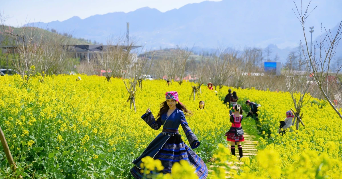 View - Sắc vàng hoa cải phủ kín triền núi dưới chân Fansipan, hút khách check-in | Báo Tri thức và Cuộc sống - TIN TỨC PHỔ BIẾN KIẾN THỨC 24H