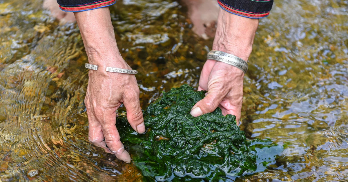 View - Tưởng 'rác suối' bỏ đi, ai ngờ nướng lên thành đặc sản giá chỉ vài chục nghìn | Báo Tri thức và Cuộc sống - TIN TỨC PHỔ BIẾN KIẾN THỨC 24H