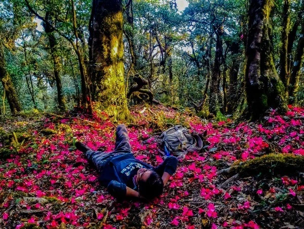 View - 5 cung trekking mùa xuân miền Bắc khiến dân mê xê dịch 'đứng ngồi không yên' | Báo Tri thức và Cuộc sống - TIN TỨC PHỔ BIẾN KIẾN THỨC 24H