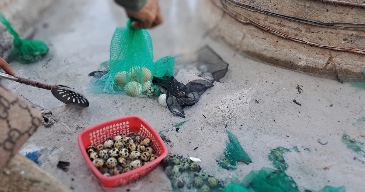 View - Trải nghiệm luộc trứng giữa thiên nhiên tại suối nước nóng Hội Vân | Báo Tri thức và Cuộc sống - TIN TỨC PHỔ BIẾN KIẾN THỨC 24H