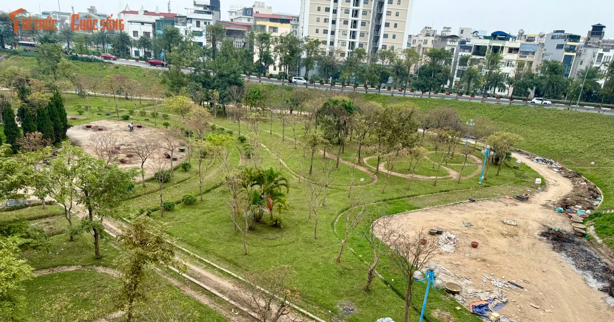 View - Vườn hoa Nhật Tân rác thải ngổn ngang, nhiều khu vực bị chiếm dụng | Báo Tri thức và Cuộc sống - TIN TỨC PHỔ BIẾN KIẾN THỨC 24H
