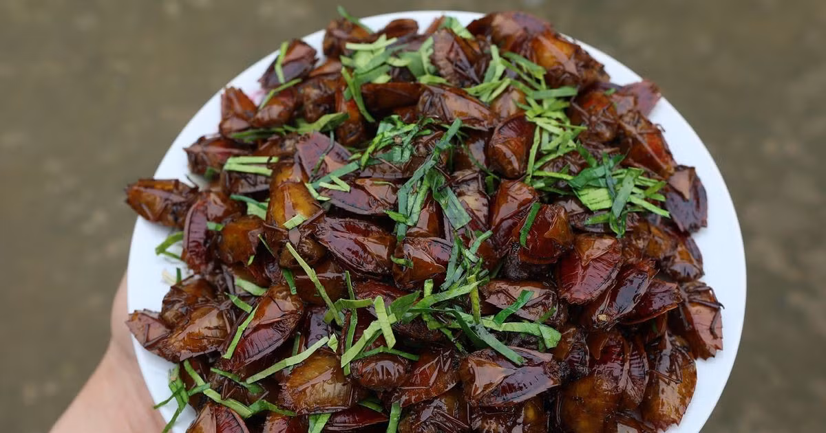 View - Từng bị xua đuổi vì mùi hôi, nay thành món đặc sản giá 400.000 đồng/kg | Báo Tri thức và Cuộc sống - TIN TỨC PHỔ BIẾN KIẾN THỨC 24H