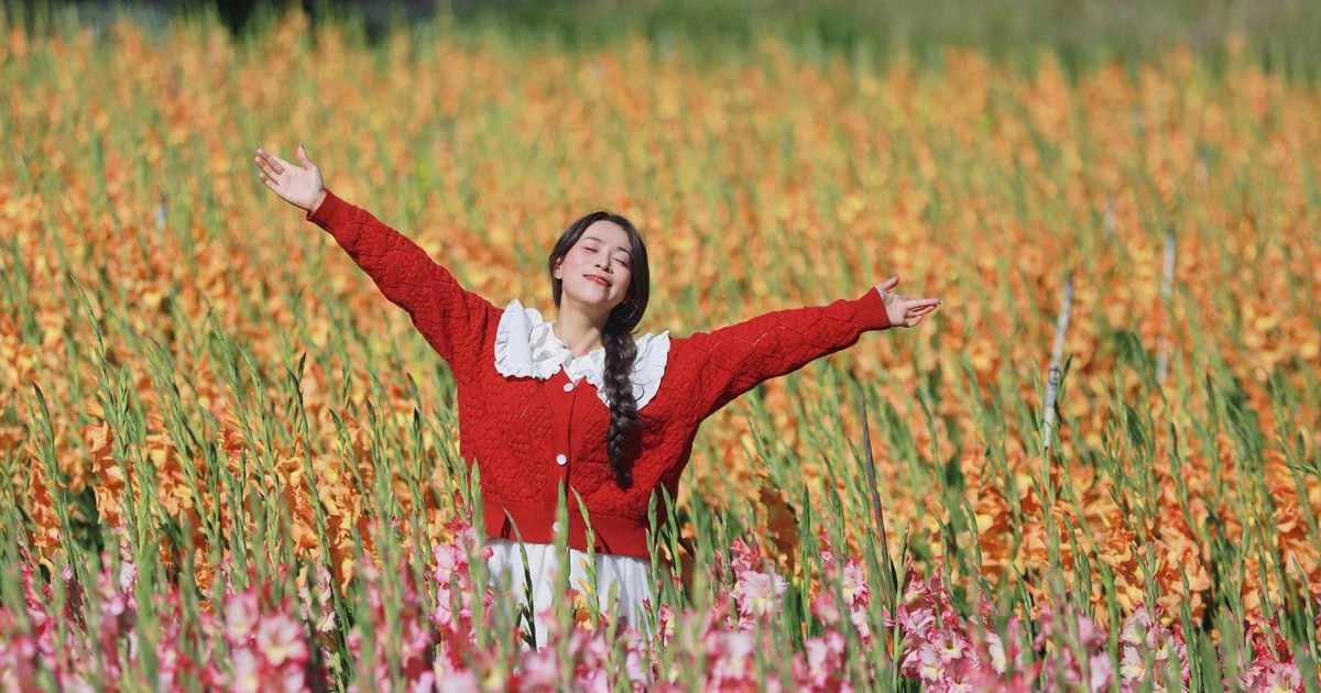 Gallery - Lỡ mùa Tết, cánh đồng hoa lay ơn bên đèo Mimosa bất ngờ thành điểm sống ảo | Báo Tri thức và Cuộc sống - TIN TỨC PHỔ BIẾN KIẾN THỨC 24H