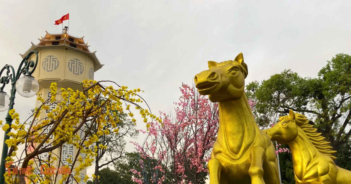 View - Không khí Tết rộn ràng tại đại cảnh hoa Xuân phường Phan Thiết | Báo Tri thức và Cuộc sống - TIN TỨC PHỔ BIẾN KIẾN THỨC 24H