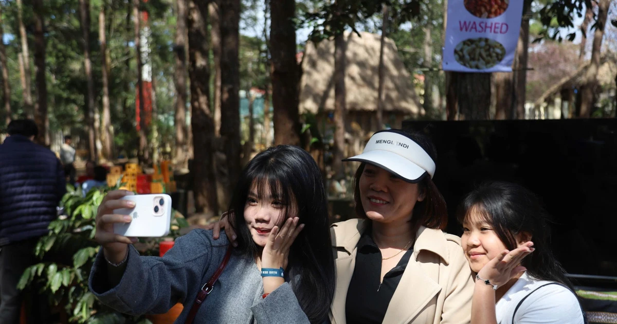 Gallery - Đông đảo du khách đổ về Măng Đen dịp Tết Dương lịch 2026 | Báo Tri thức và Cuộc sống - TIN TỨC PHỔ BIẾN KIẾN THỨC 24H