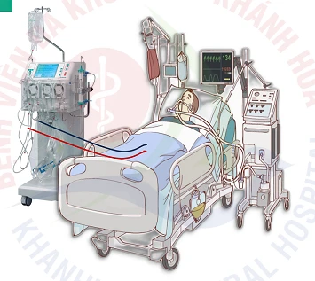 Cắt tỉa cây, chàng trai 19 tuổi bị điện giật ngừng tim, ngừng thở