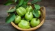 10 loại quả giá rẻ giàu vitamin C 