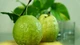 Vì sao ổi giàu vitamin hơn cam?