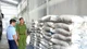 Gia Lai phát hiện, tạm giữ 5 tấn đường nhập lậu