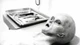 Xôn xao video khám nghiệm tử thi người ngoài hành tinh ở Roswell