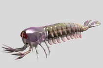 Sinh vật kỳ lạ của kỷ Cambri từng làm chao đảo giới khoa học