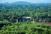 Gia Long và Charles II: Tương đồng của hai vị vua phục quốc 