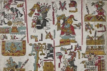 View - Trồng cây chanh trong nhà đúng vị trí hút lộc, tài lộc ùn ùn đến | Báo Tri thức và Cuộc sống - TIN TỨC PHỔ BIẾN KIẾN THỨC 24H