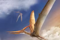 Loài thằn bay cánh dài 7 mét khiến chuyên gia kinh ngạc