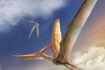 View - Tận mục loài khủng long cao nhất từng được phát hiện | Báo Tri thức và Cuộc sống - TIN TỨC PHỔ BIẾN KIẾN THỨC 24H