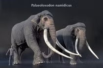 Loài voi nặng 15 tấn, ngà dài 4 mét từng thống trị lục địa Á - Âu