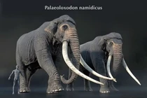 Loài voi nặng 15 tấn, ngà dài 4 mét từng thống trị lục địa Á - Âu