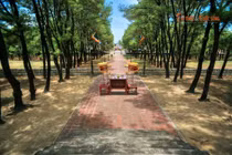 Đàn Nam Giao - nơi hành lễ thiêng liêng bậc nhất triều Nguyễn