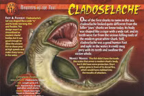 Đặc điểm hãi hùng của loài cá mập cổ xưa nhất thế giới 