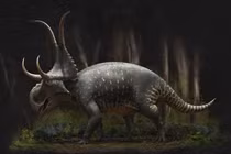 Khám phá loài khủng long mang cặp sừng quỷ dữ, tên đầy ám ảnh 
