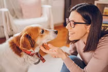 Bí mật khoa học gây kinh ngạc: Chó thực sự hiểu con người đến đâu?