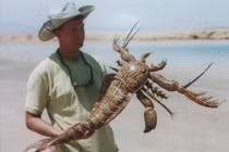 Loài bọ cạp đáng gờm nhất từng tồn tại trên Trái Đất